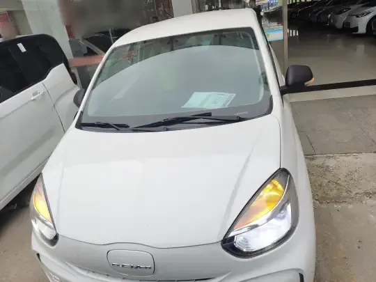 Roewe Clever 2020 (62600 км)