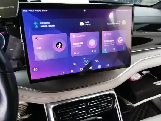 BYD Tang New Energy 2022 (100300 км)