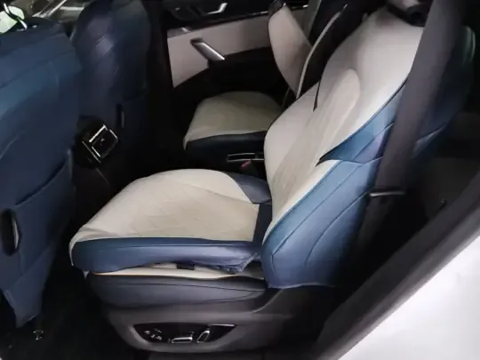 BYD Tang New Energy 2022 (100300 км)