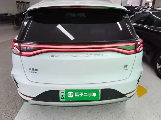 BYD Tang New Energy 2022 (100300 км)