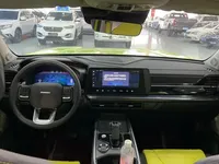 Haval X DOG 2022 (19200 км)