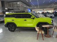 Haval X DOG 2022 (19200 км)