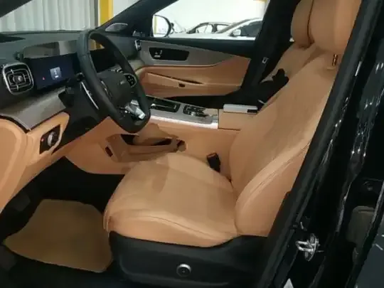 Chery Tiggo 9 2023 (7900 км)