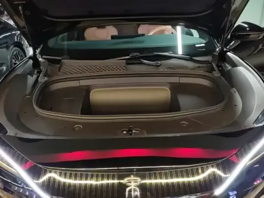 BYD Song L EV 2024 (11600 км)