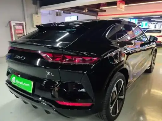 BYD Song L EV 2024 (11600 км)