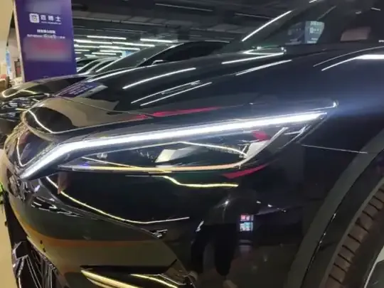 BYD Song L EV 2024 (11600 км)