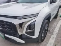 Chevrolet Equinox Plus 2024 (3800 км)