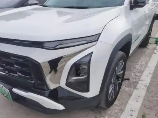 Chevrolet Equinox Plus 2024 (3800 км)