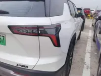 Chevrolet Equinox Plus 2024 (3800 км)