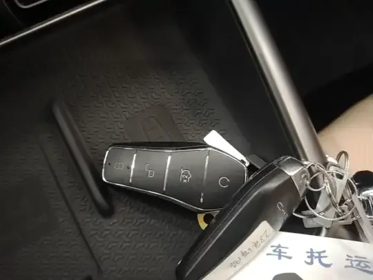 BYD Song Pro New Energy 2025 (21000 км)