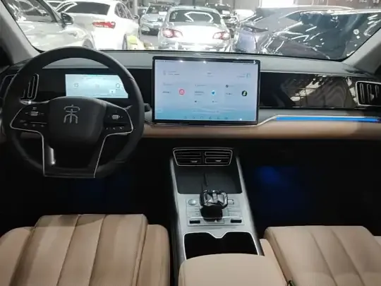 BYD Song Pro New Energy 2025 (21000 км)