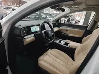 BYD Song Pro New Energy 2025 (21000 км)
