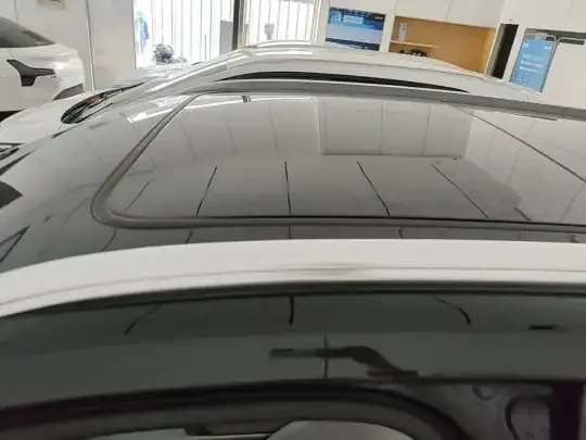 BYD Tang New Energy 2025 (3000 км)