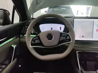 BYD Tang New Energy 2025 (3000 км)