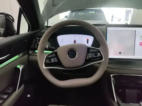 BYD Tang New Energy 2025 (3000 км)
