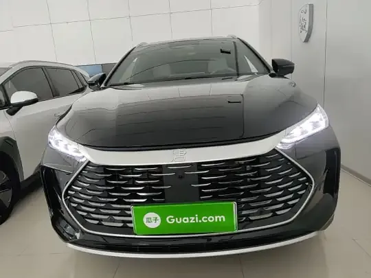 BYD Tang New Energy 2025 (3000 км)