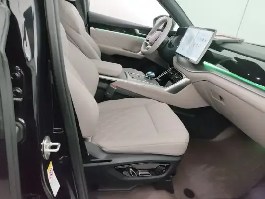 BYD Tang New Energy 2025 (3000 км)