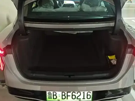 Hongqi EH7 2025 (100 км)
